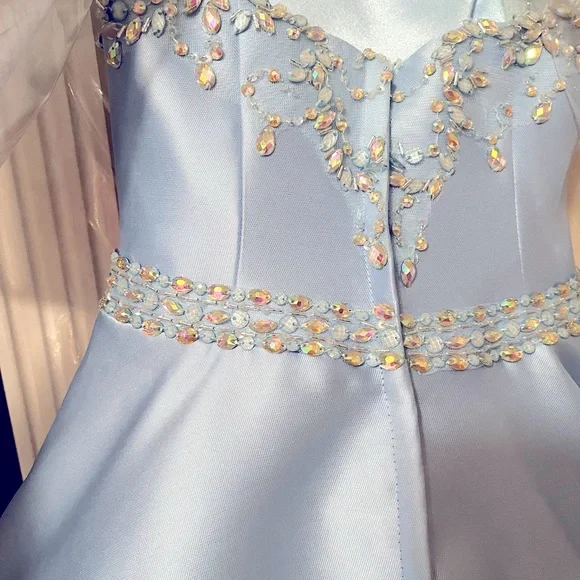 Pageant Dress